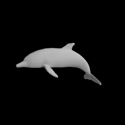 The dolphin is swimming.