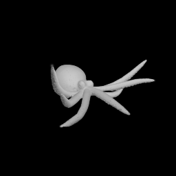 The octopus is swimming.